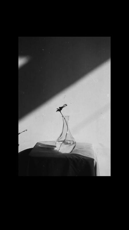 Film Image https://i.postimg.cc/VstMdT1W/20240327-145933-0000.jpg