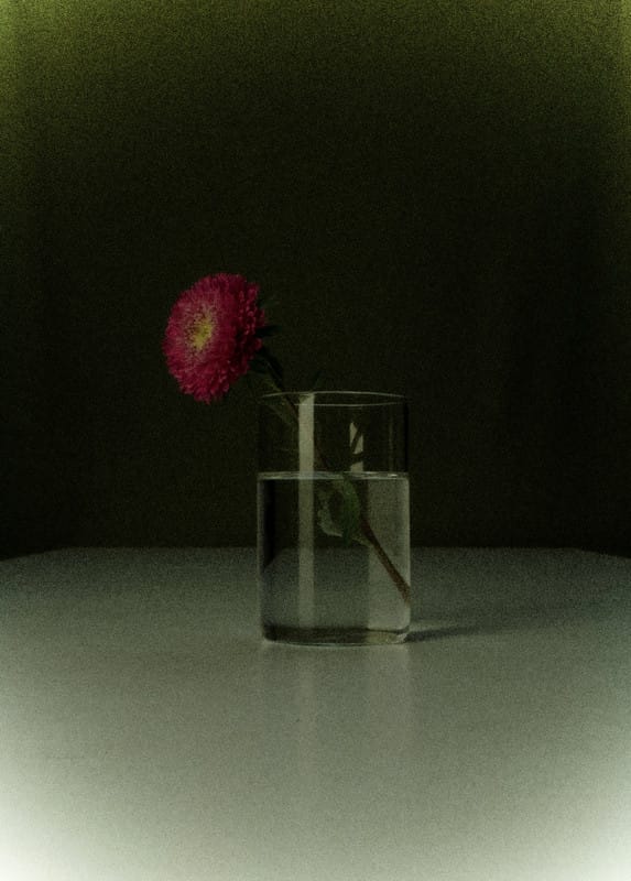 Index Image https://i.postimg.cc/x15nsZDc/DSC-0310.jpg